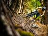 Biking business boom for Derwent Valley