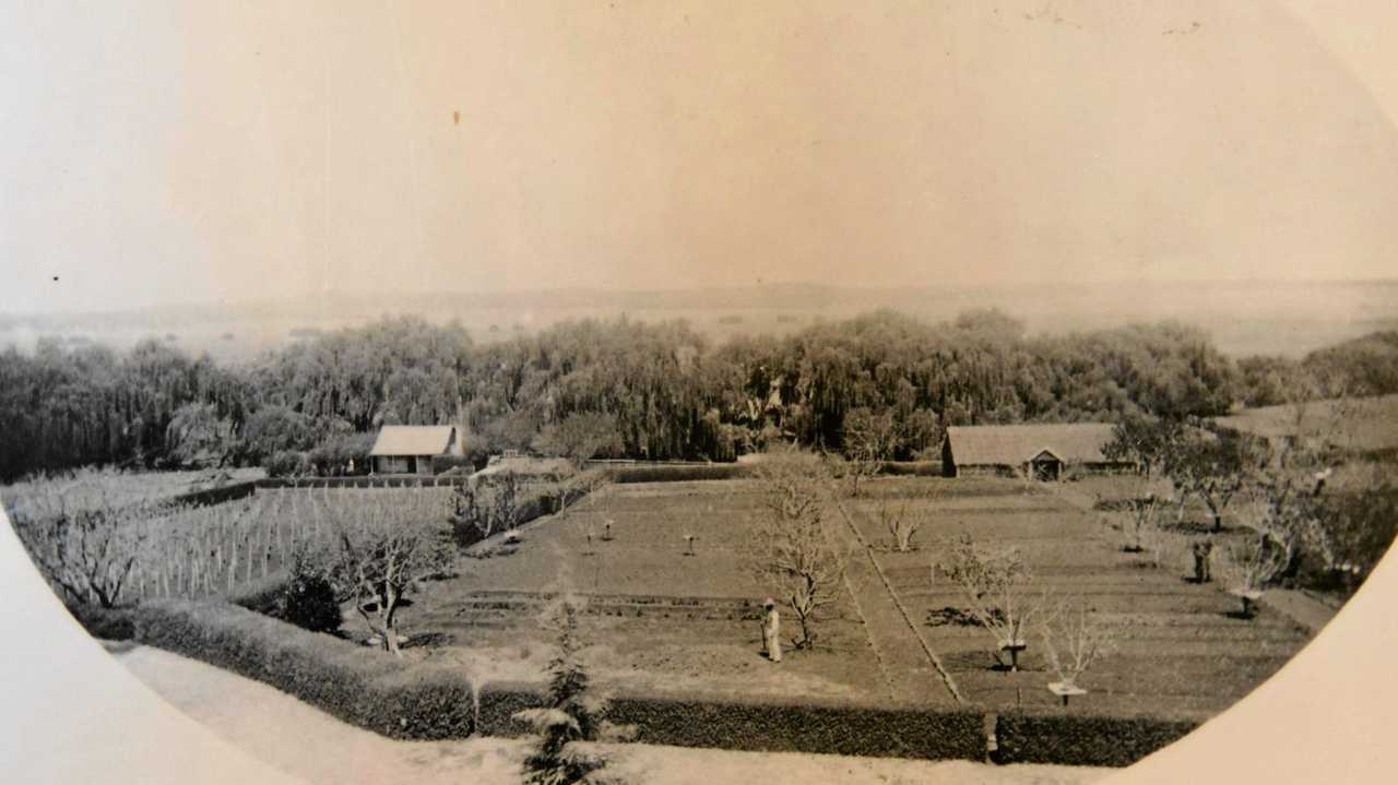 It will take Glengallan Homestead caretaker, Terry Weier, about 12 months to restore the property's orchard.