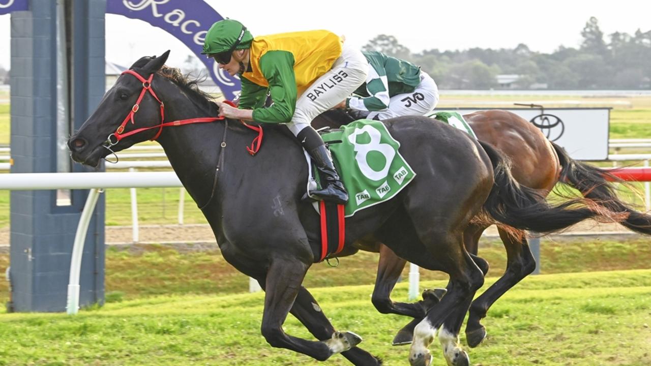 The Joe Pride-trained Weeping Woman looks hard to beat at Canterbury on Friday night. Picture: Bradley Photos