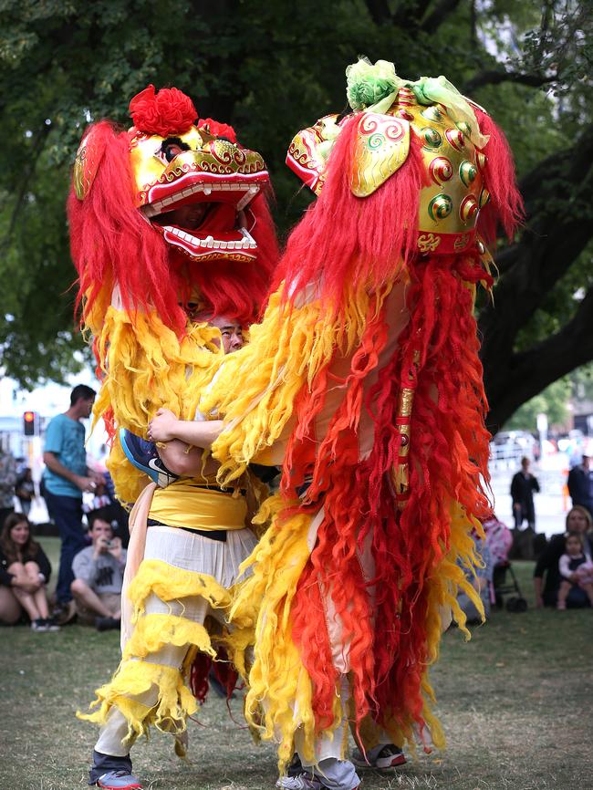 The lions duel in a colourful show for the crowd.