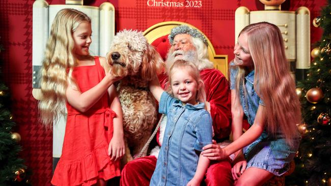 River Francis-Staite, 8, and her sisters Meadow, 4, and Willow, 11 and Banjo the dog with Santa in David Jones. Picture: Russell Millard