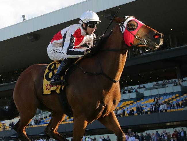 SYDNEY, AUSTRALIA - MAY 22: Brenton Avdulla on Kirwan's Lane wins race 8 the XXXX Handicap from Tim Clark on Ellsberg during Sydney Racing at Rosehill Gardens on May 22, 2021 in Sydney, Australia. (Photo by Mark Evans/Getty Images)