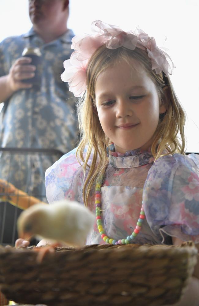 Ruby McKay, 4, with a tiny chick in the petting zoo at the Chief Minister's Cup Day at the Darwin Turf Club on Saturday, July 15.