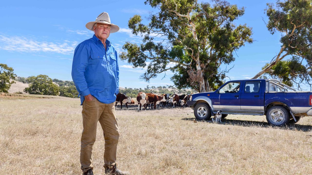 Strathalbyn farmer Peter Manuel concerned as farmers pushed to the brink during current drought conditions. Picture: Brenton Edwards