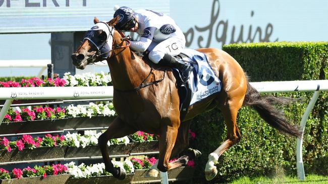 Robusto and Tim Clark charge home to win the Group 2 The Ingham at Randwick. Picture: Jeremy Ng/Getty Images