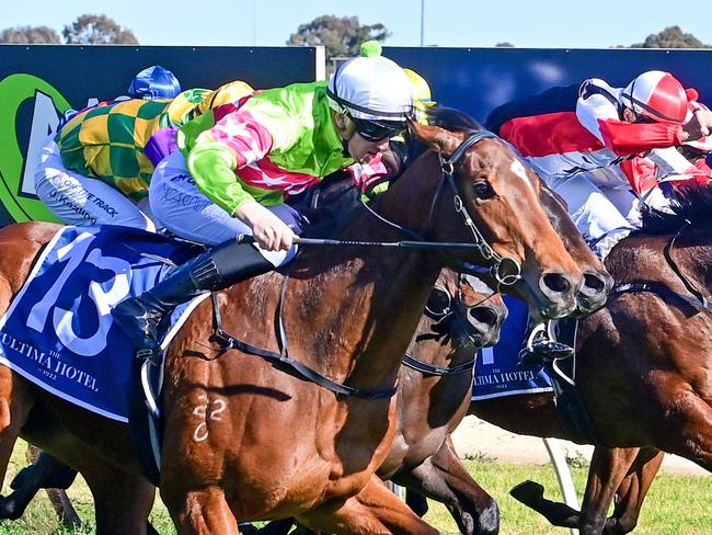 Single 'N' Ready ridden by Matthew Cartwright wins the Ultima Hotel Maiden Plate at Swan Hill Racecourse on August 03, 2023 in Swan Hill, Australia. (Photo by Brendan McCarthy/Racing Photos)