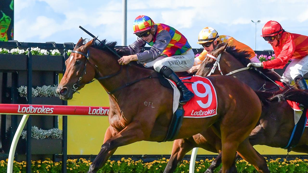 Tiger Shark upsets her rivals in the Mick Dittman Plate at Eagle Farm. Picture: Grant Peters/Trackside Photography