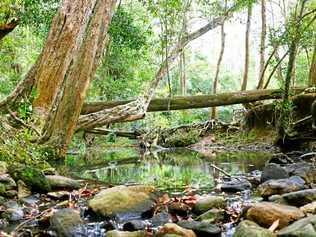 OPINION: Don't let the Gympie region become like the sardine can that is the southeast, just on our doorstep.