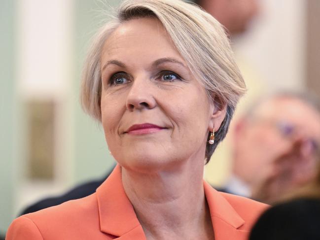 Tanya Plibersek has been moved from the environment portfolio to Social Services Minister. Picture: NewsWire / Martin Ollman