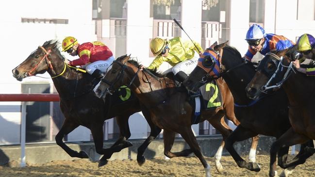 Taumata (blue, orange) is chasing his second career win at Albury. Picture: Bradley Photos