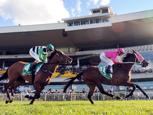 Race 5 2GB HANDICAP (3YO&UP F&M BM85) - 1350m. Winner 'Berrimilla' ridden by Glyn Schofield.