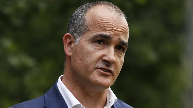 Minister for Mental Health James Merlino. Picture: Getty Images