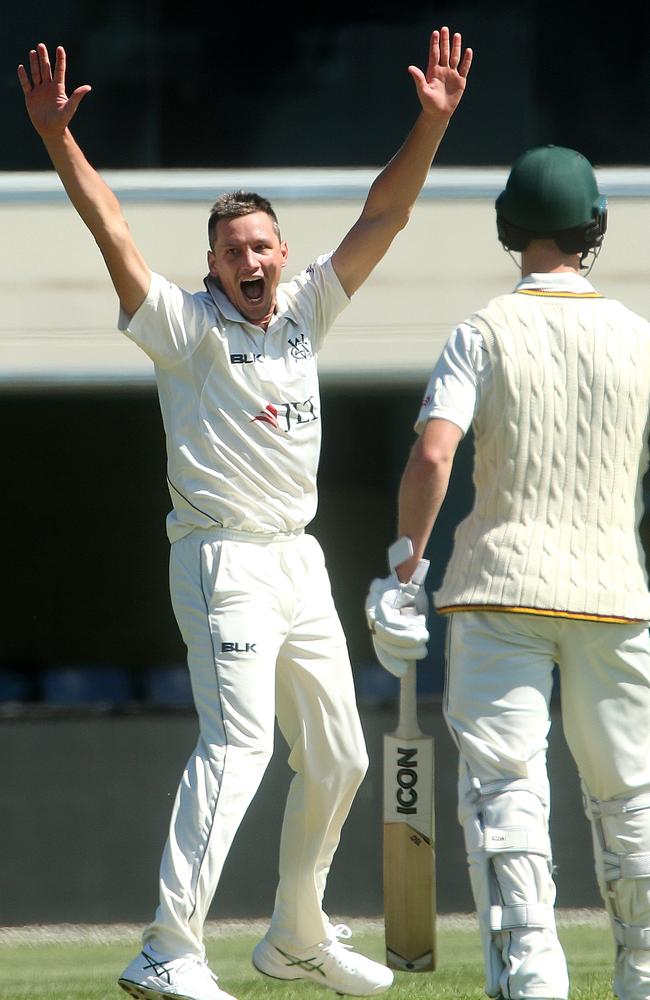 Chris Tremain has quite an extensive Shield wicket resume.