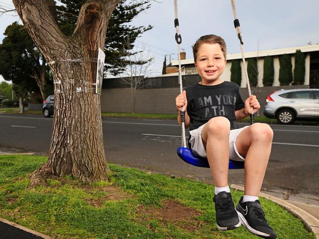 Rafi Ezekial, 7, has pleaded with authorities to let him keep the tree swing at his grandparents' house after Bayside Council ordered it to be removed. Picture: Mark Stewart