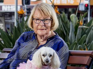 Coast icon and pooch reveal grand plans