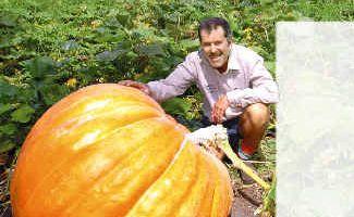 John Mills with his pumpkin in happier times, before the formidable fruit collapsed. . Picture: DAVID NIELSEN