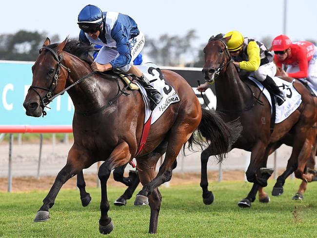 Viddora wins the Magic Millions Snippets on the Gold Coast. Picture: AAP Image/Albert Perez