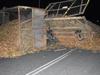 Cane train derails in collision with stopped bins