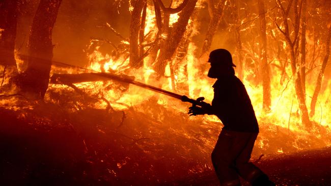 An MFS officer fights a fire on Wattle Rd, Kersbrook. Picture: Campbell Brodie.