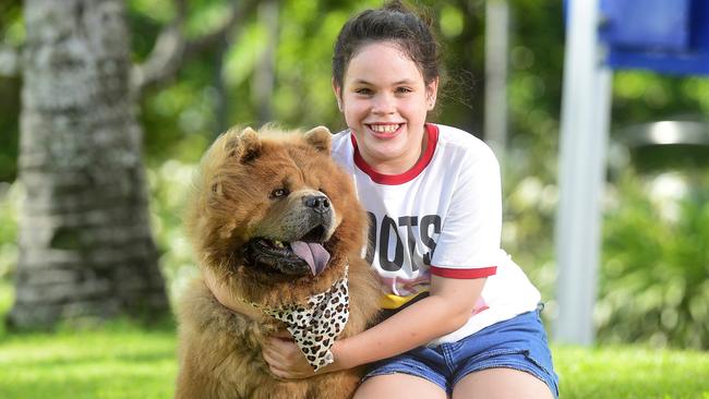 Two-year old Bear is a Chow Chow and has made Queensland's Top Dogs list as part of the Dogs of Oz promotion. He is pictured with Eddie Bailey. PICTURE: MATT TAYLOR.