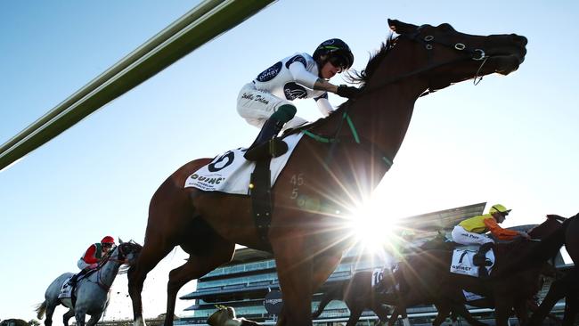 Black Magnum has an excellent first-up record. Picture: Getty Images