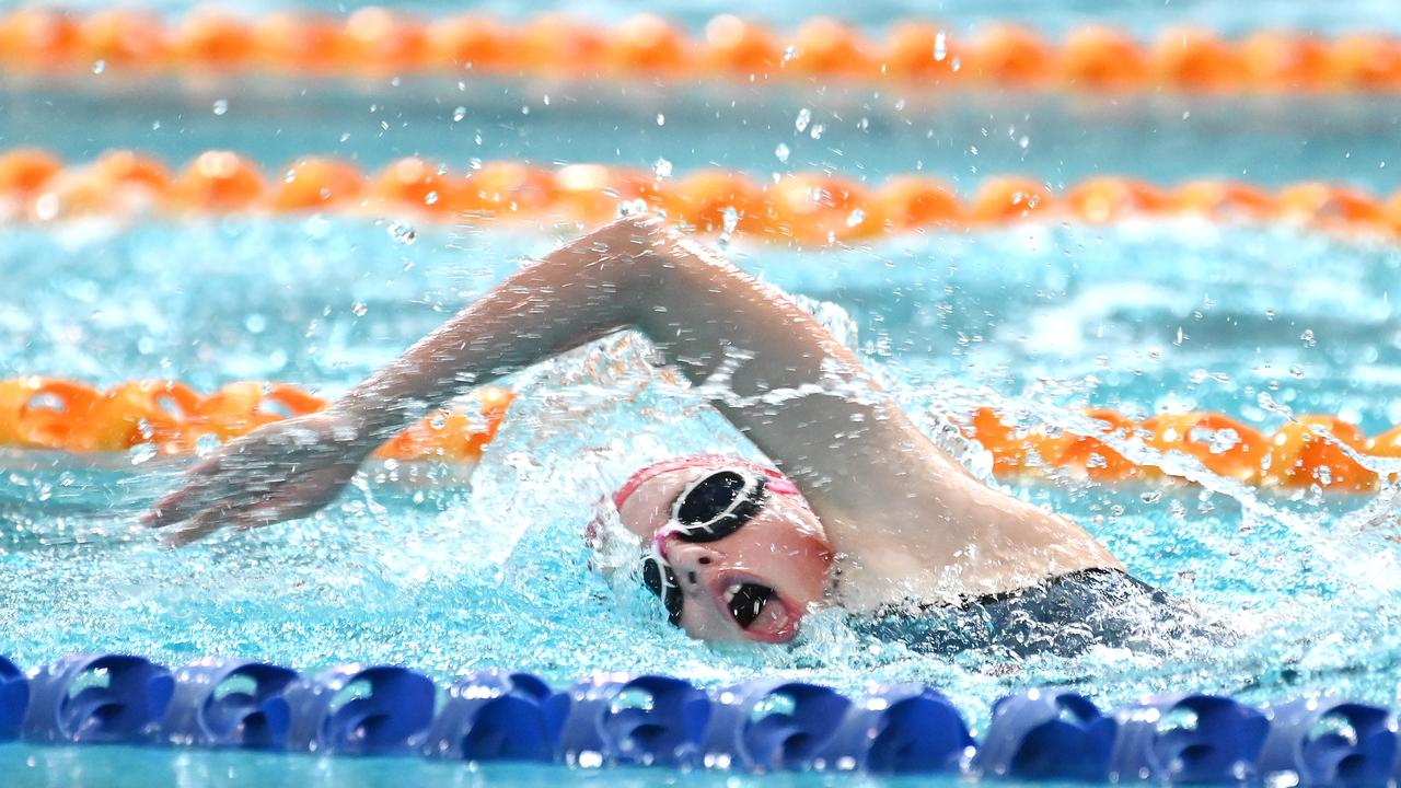 Queensland School Sport swimming championships 2024 The Courier Mail