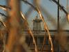 Sites confirmed for three new youth justice facilities