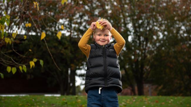 Max Mitton, 3, received a lifesaving liver transplant at 19 months old. Picture: Penny Stephens