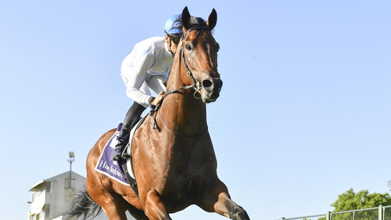 Private Harry romps home by seven lengths at Hawkesbury at his latest start. Picture: Bradley Photos