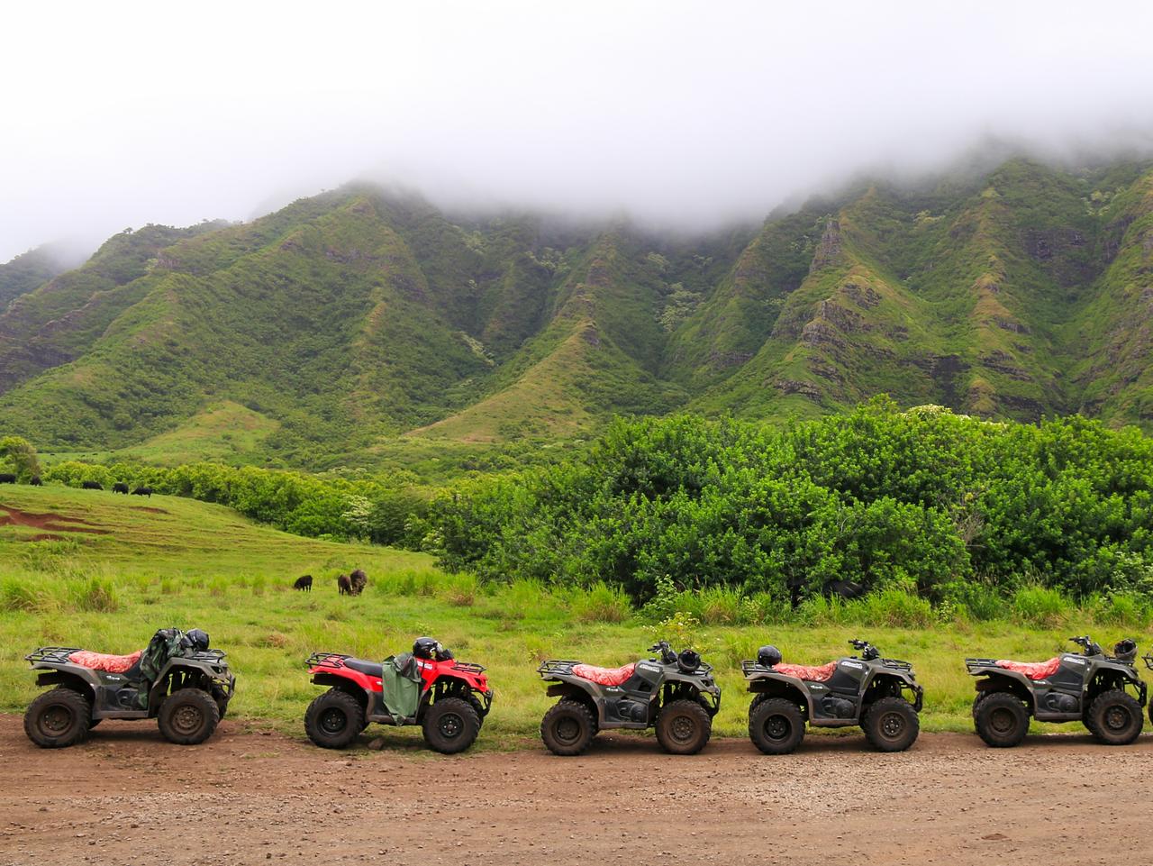 ATVs in a row at Kualoa Ranch, Hawaii