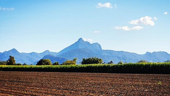 There are now calls to introduce a climbing ban to Mount Warning. Picture: supplied