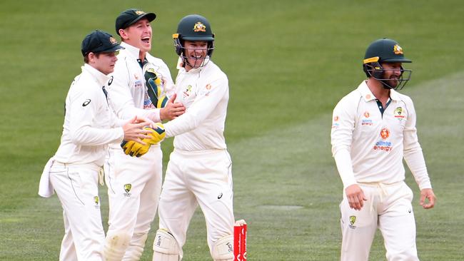 Steve Smith, Marnus Labuschagne, Tim Paine and Matthew Wade get vocal in Sydney. Picture: William West/AFP