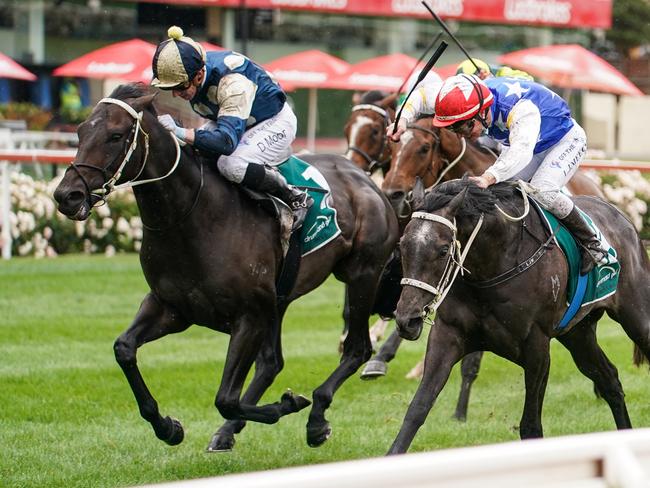 Forgot You (NZ) ridden by Daniel Moor wins the Drummond Golf Vase at Moonee Valley Racecourse on October 23, 2021 in Moonee Ponds, Australia. (Scott Barbour/Racing Photos via Getty Images)