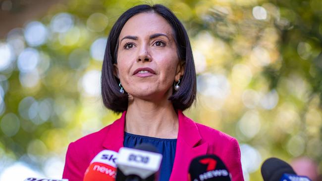 Prue Car accused the National Party of throwing a hissy fit. Picture: NCA NewsWire/ Christian Gilles