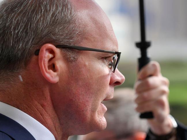 Ireland's Deputy Prime Minister and minister of foreign affairs, Simon Coveney. Picture: AFP