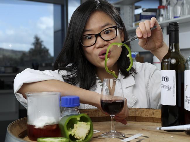 University of Adelaide researcher Chen Liang taking capsicum out of  wine. Picture SARAH REED