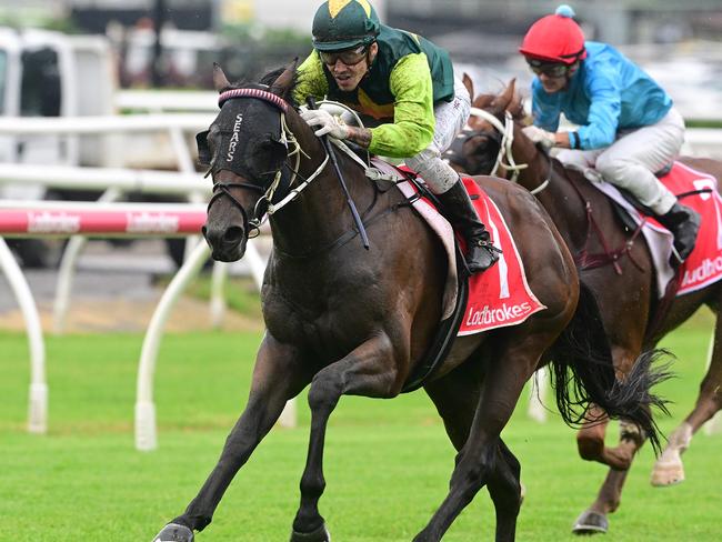 Beau Dazzler underlines his 2025 Group 1 Queensland Derby potential by scoring the Group 3 Grand Prix Stakes at Eagle Farm. Picture: Grant Peters, Trackside Photography.