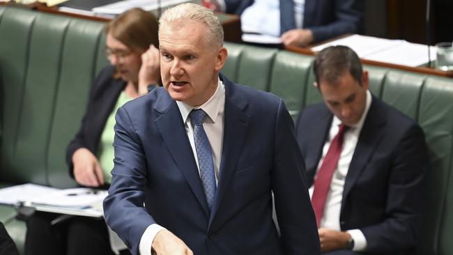 Tony Burke’s breakthrough deal increases the government’s prospects of getting the contentious IR changes through the Senate. Picture: NCA NewsWire / Martin Ollman