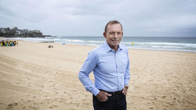 Mr Lovegrove said defeating Tony Abbott was the priority. Picture: John Feder/The Australian.