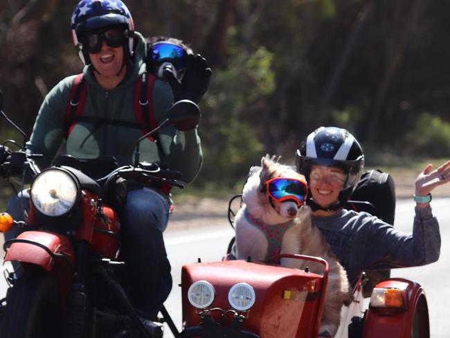 Nathan Coleman with dog Buddy strapped to his back, and in the sidecar, Ashleigh Coleman with dog Callie, riding in their Ural sidecar in country SA. Photo: Supplied