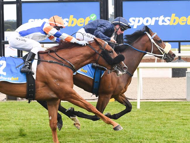 Tacumwah ridden by Linda Meech wins the AC Accounting & Business Solutions 3YO Fillies Mdn Plte at Sportsbet-Ballarat Racecourse on October 26, 2023 in Ballarat, Australia. (Photo by Pat Scala/Racing Photos)