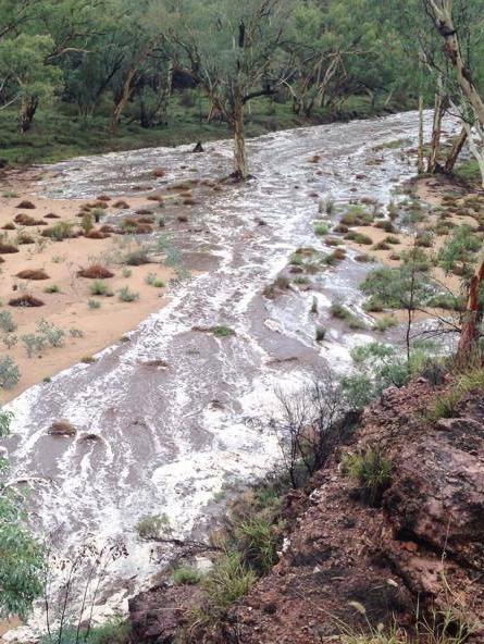 Riverbed floods. Picture: Dan Adams / Parks and Wildlife Commission NT