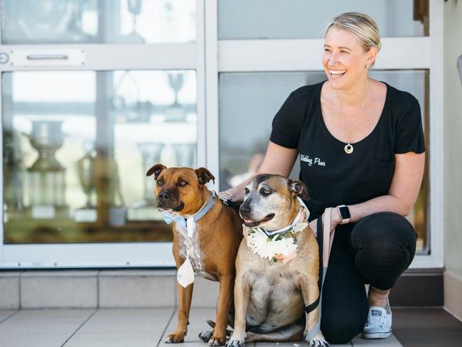 Amy Christie runs a business that dresses up the four-legged friends for weddings. Picture: Peter Hawke