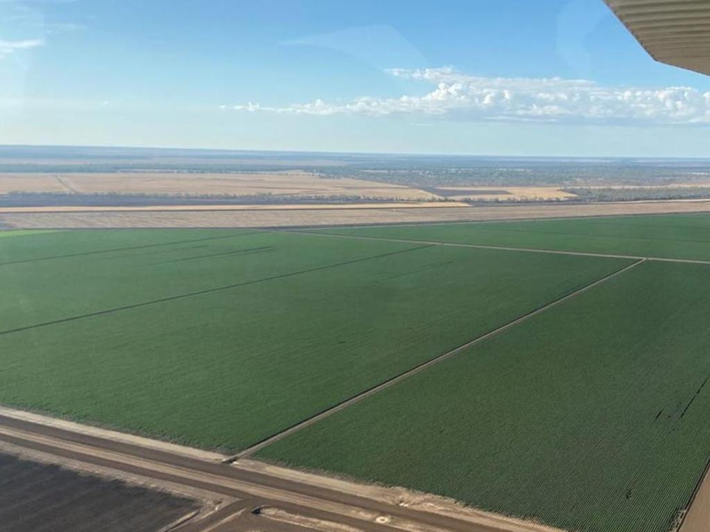 The Sullivan family have run the Tooroora farm for 18 years, developing the property extensively.