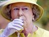 Queen gives up drinking booze