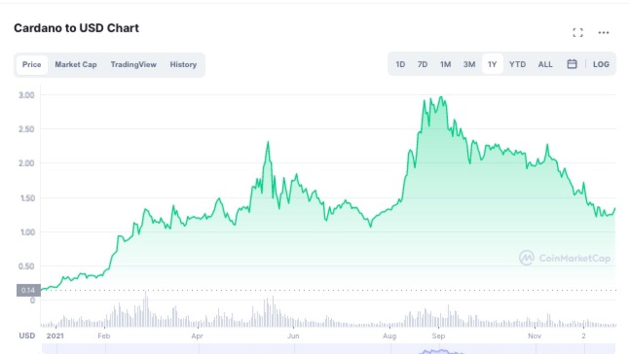 The incredible year Cardano has had.