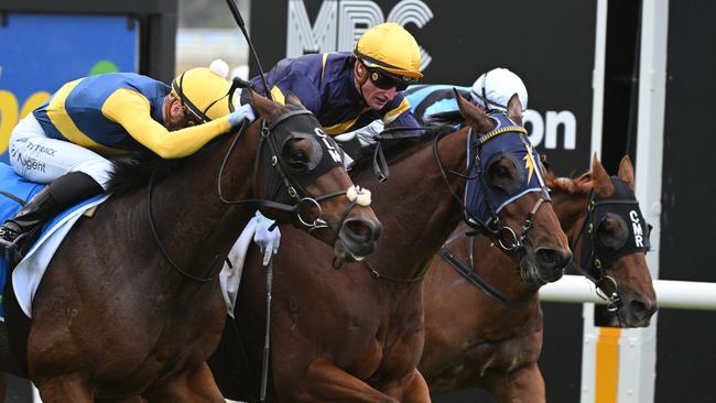 Bankers Choice prevails in a thrilling finish to the Mornington Cup. Picture: Vince Caligiuri/Getty Images
