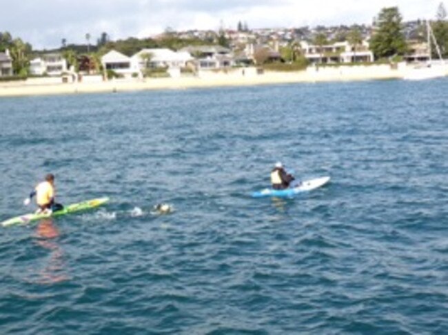 Ned Wieland approaching the finish line in the South Head Roughwater. Picture: Supplied.