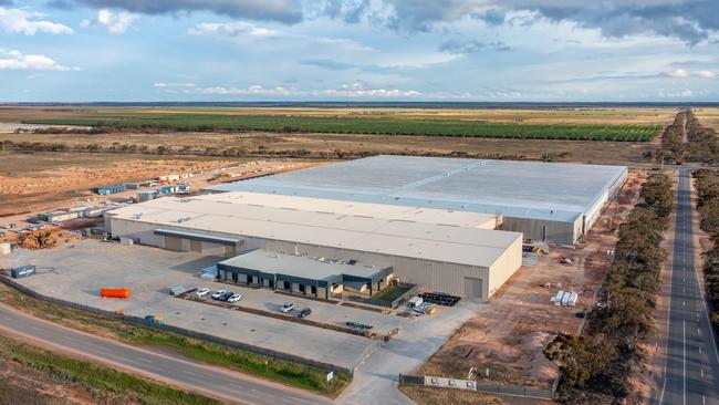 Cann Group's Mildura factory, which is about to be commissioned, changing the game for medicinal cannabis manufacturers