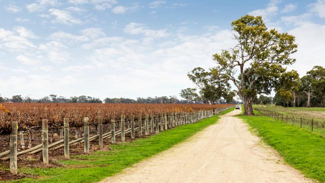 The Bordertown Vineyard Portfolio was listed for sale in June last year.